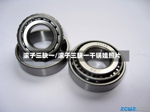滚子三缺一/滚子三缺一干锅姐照片