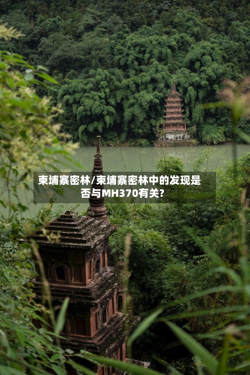 柬埔寨密林/柬埔寨密林中的发现是否与MH370有关?-第2张图片