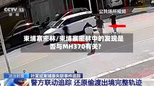 柬埔寨密林/柬埔寨密林中的发现是否与MH370有关?