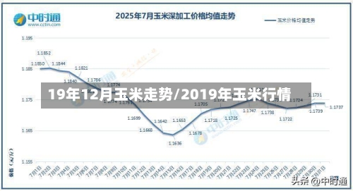 19年12月玉米走势/2019年玉米行情