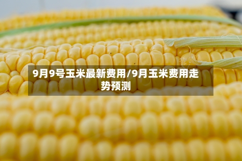 9月9号玉米最新费用/9月玉米费用走势预测-第2张图片