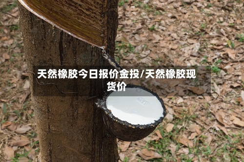 天然橡胶今日报价金投/天然橡胶现货价