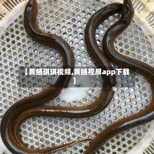 【黄鳝琪琪视频,黄鳝视屏app下载】-第2张图片