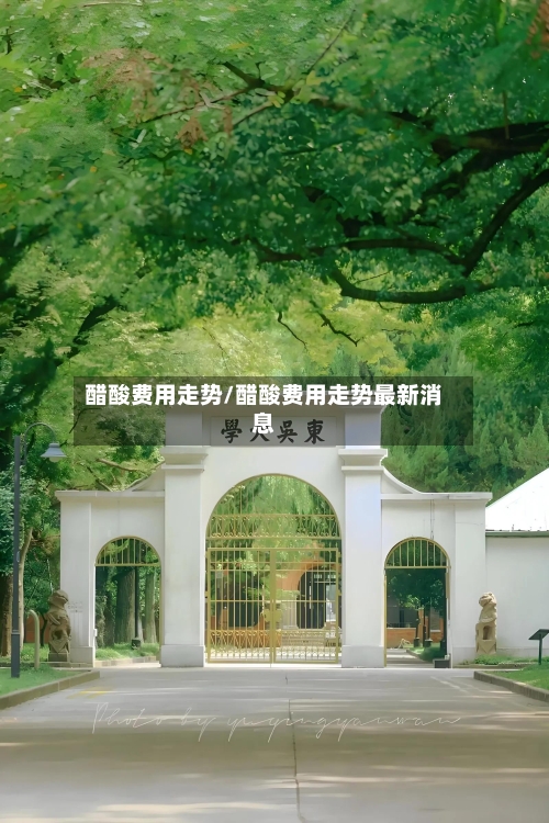 醋酸费用走势/醋酸费用走势最新消息-第2张图片