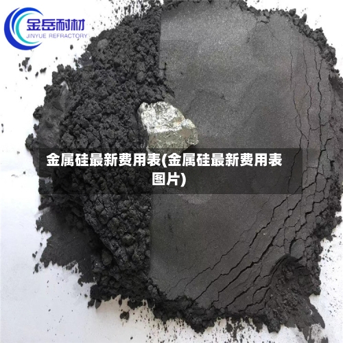 金属硅最新费用表(金属硅最新费用表图片)