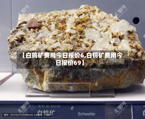 【白钨矿费用今日报价6,白钨矿费用今日报价69】-第2张图片