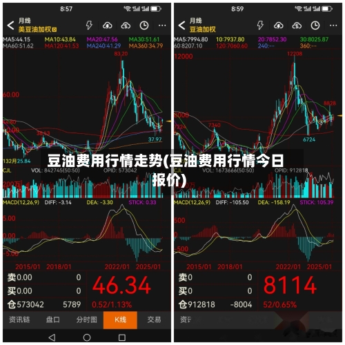 豆油费用行情走势(豆油费用行情今日报价)