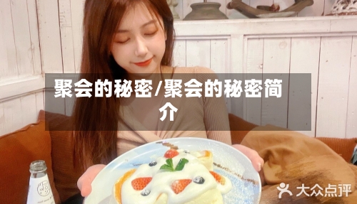 聚会的秘密/聚会的秘密简介