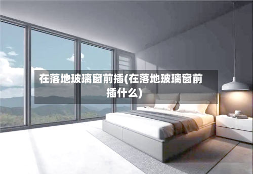 在落地玻璃窗前插(在落地玻璃窗前插什么)-第2张图片