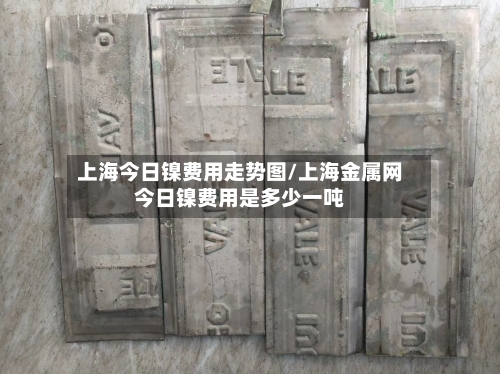 上海今日镍费用走势图/上海金属网今日镍费用是多少一吨-第3张图片
