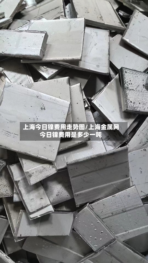 上海今日镍费用走势图/上海金属网今日镍费用是多少一吨-第2张图片