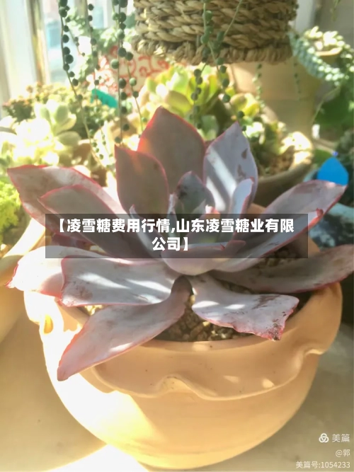 【凌雪糖费用行情,山东凌雪糖业有限公司】-第2张图片