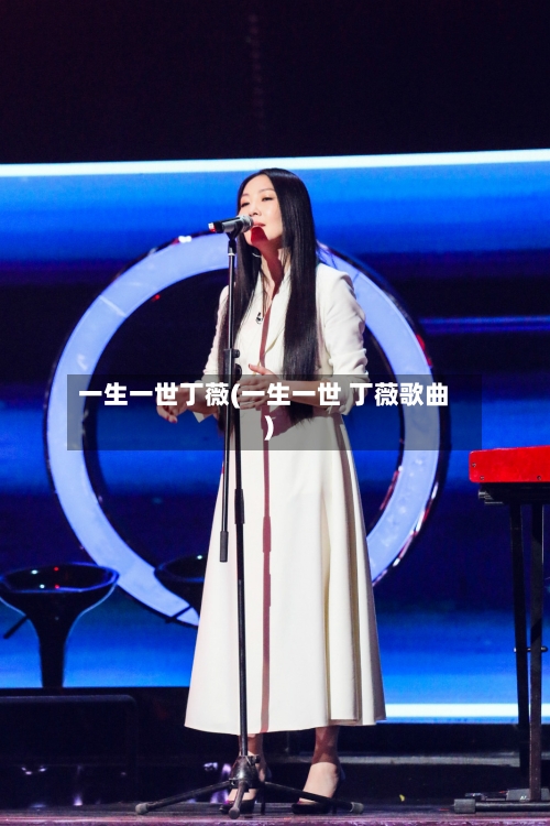 一生一世丁薇(一生一世 丁薇歌曲)-第2张图片