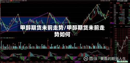 甲醇期货未前走势/甲醇期货未前走势如何-第2张图片