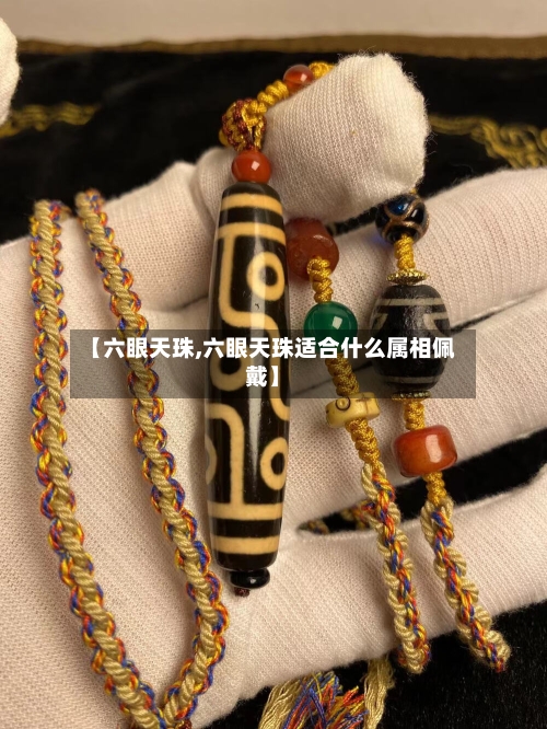 【六眼天珠,六眼天珠适合什么属相佩戴】-第2张图片