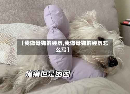 【我做母狗的经历,我做母狗的经历怎么写】-第2张图片