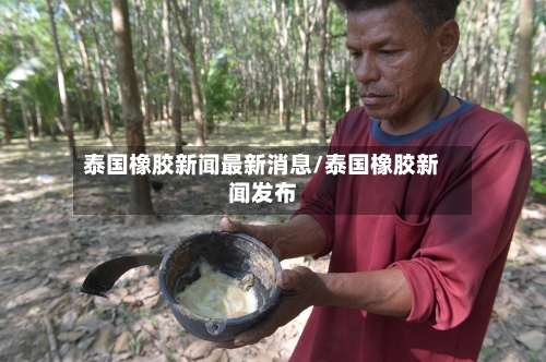 泰国橡胶新闻最新消息/泰国橡胶新闻发布-第2张图片