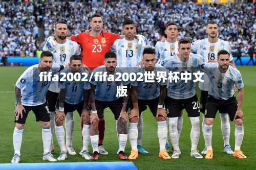 fifa2002/fifa2002世界杯中文版