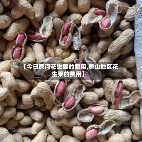【今日唐河花生果的费用,唐山地区花生果的费用】-第2张图片
