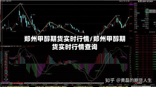 郑州甲醇期货实时行情/郑州甲醇期货实时行情查询-第3张图片