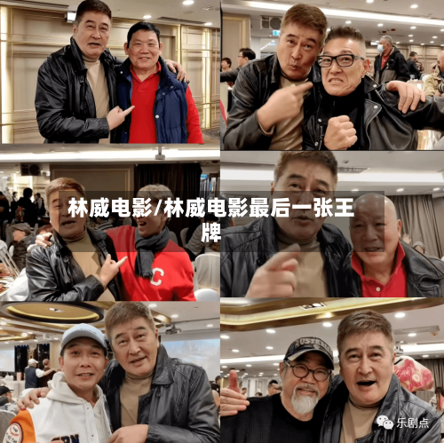 林威电影/林威电影最后一张王牌-第2张图片