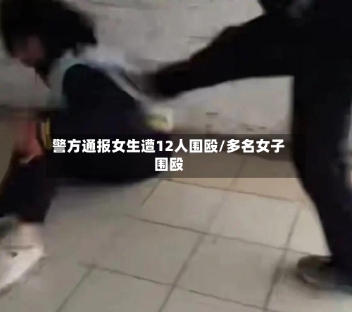 警方通报女生遭12人围殴/多名女子围殴-第3张图片