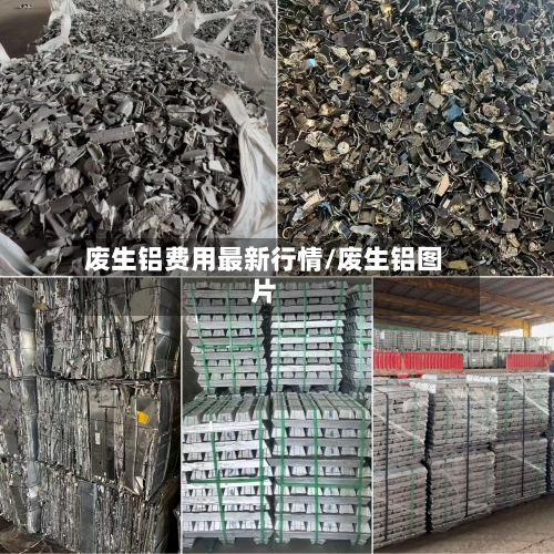 废生铝费用最新行情/废生铝图片