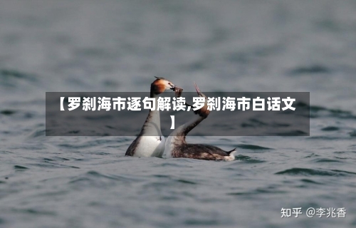 【罗刹海市逐句解读,罗刹海市白话文】