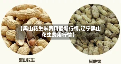 【黑山花生米费用最新行情,辽宁黑山花生费用行情】-第2张图片