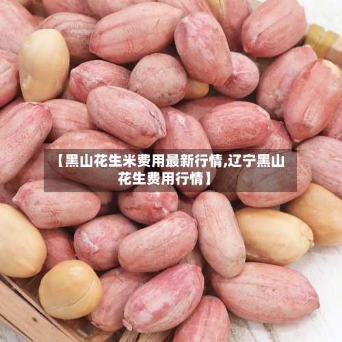 【黑山花生米费用最新行情,辽宁黑山花生费用行情】