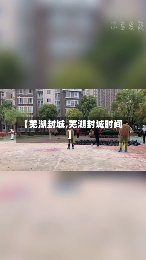 【芜湖封城,芜湖封城时间】-第2张图片