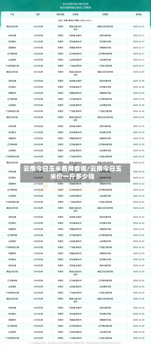 云南今日玉米费用查询/云南今日玉米价一斤多少钱-第2张图片