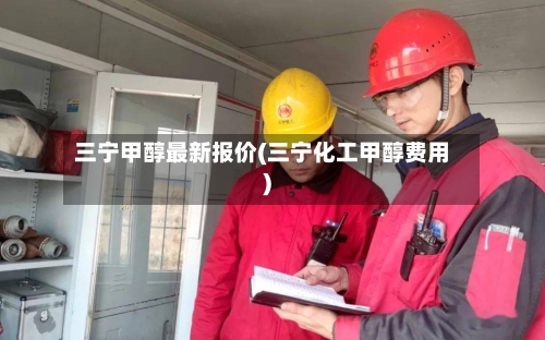 三宁甲醇最新报价(三宁化工甲醇费用)-第2张图片