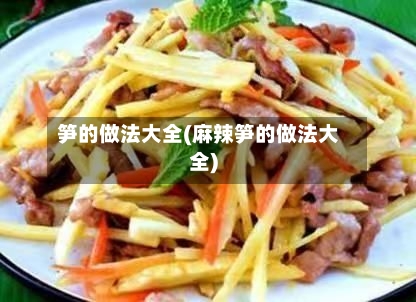 笋的做法大全(麻辣笋的做法大全)