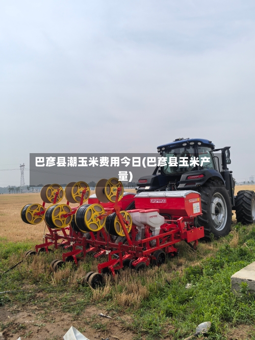 巴彦县潮玉米费用今日(巴彦县玉米产量)