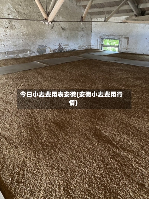 今日小麦费用表安徽(安徽小麦费用行情)