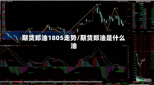 期货郑油1805走势/期货郑油是什么油