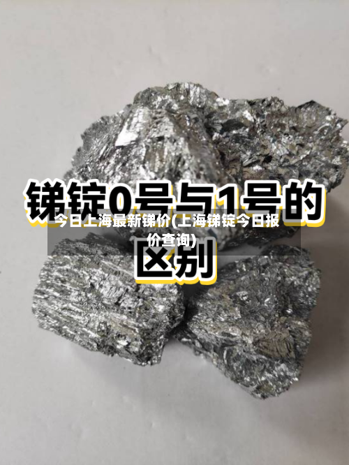 今日上海最新锑价(上海锑锭今日报价查询)