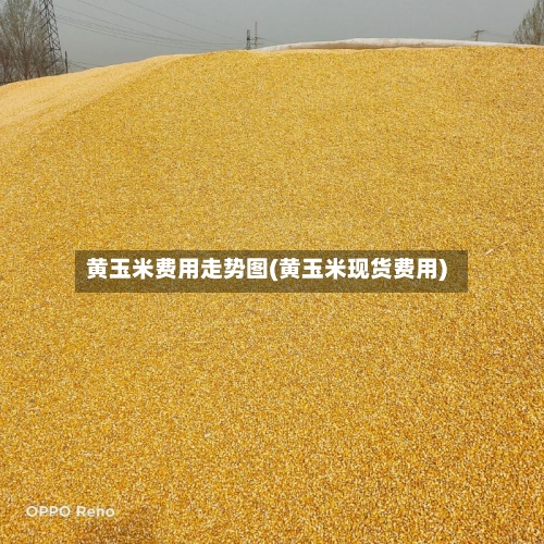 黄玉米费用走势图(黄玉米现货费用)