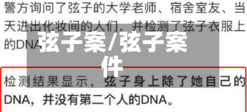 弦子案/弦子案件