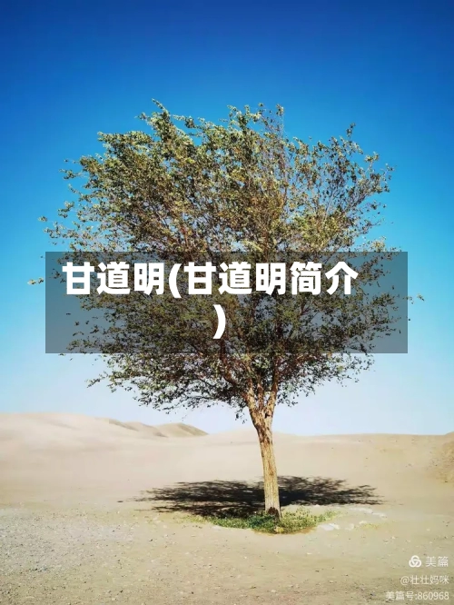 甘道明(甘道明简介)