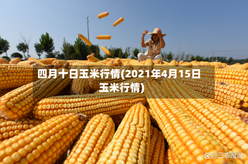四月十日玉米行情(2021年4月15日玉米行情)-第2张图片