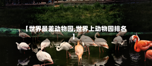 【世界最差动物园,世界上动物园排名】-第2张图片