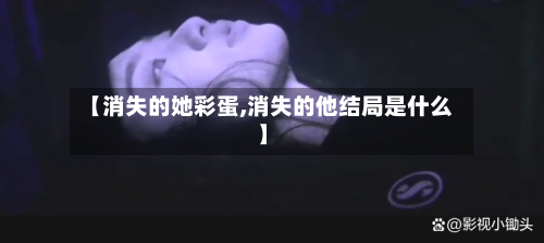 【消失的她彩蛋,消失的他结局是什么】