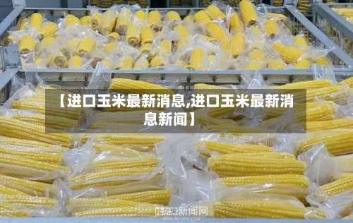 【进口玉米最新消息,进口玉米最新消息新闻】-第2张图片