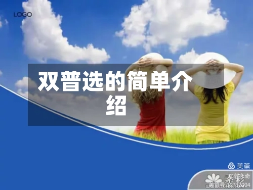 双普选的简单介绍-第3张图片
