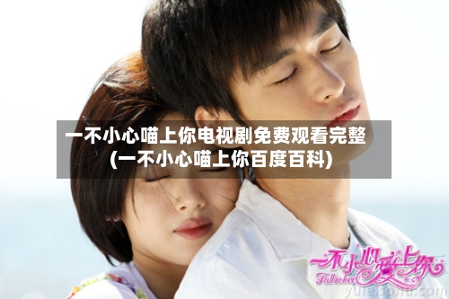 一不小心喵上你电视剧免费观看完整(一不小心喵上你百度百科)-第3张图片