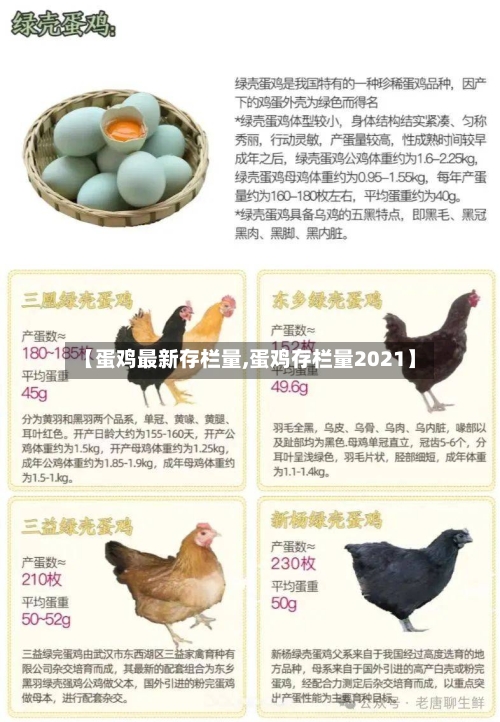 【蛋鸡最新存栏量,蛋鸡存栏量2021】-第2张图片