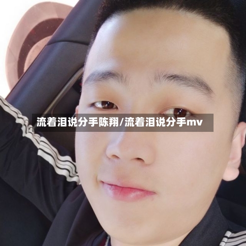 流着泪说分手陈翔/流着泪说分手mv