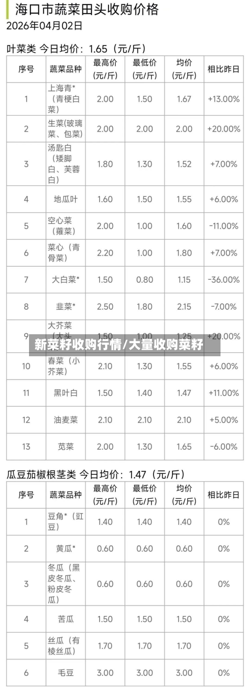 新菜籽收购行情/大量收购菜籽